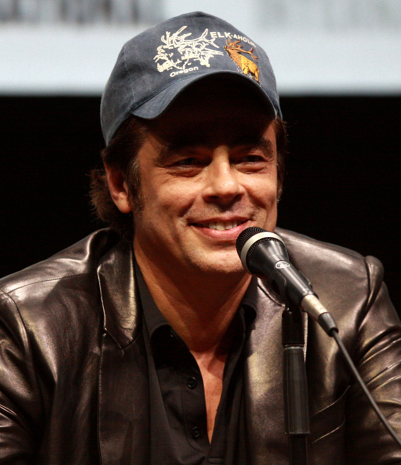 About Award Winning Benicio del Toro (B1)
