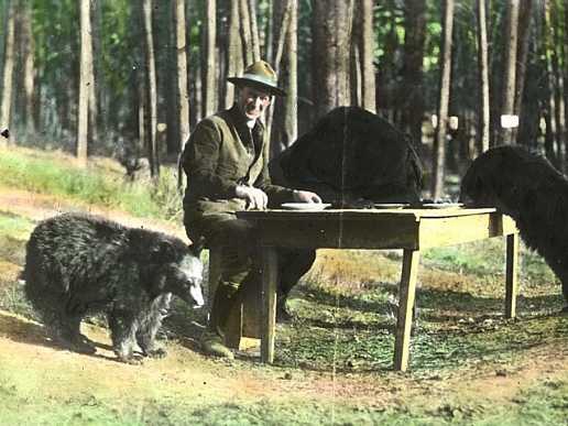 When People Used to Feed Bears in Yellowstone (A2)